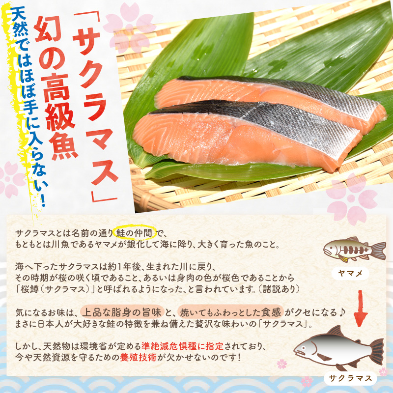 ���ι���